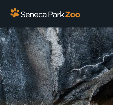 3-Month Seneca Park Zoo Family Membership
