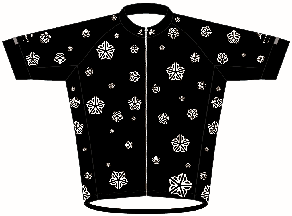 ROC Race Cut Cycling Jersey v2