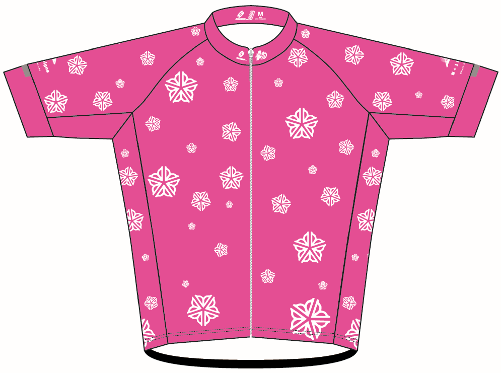 ROC Race Cut Cycling Jersey v4